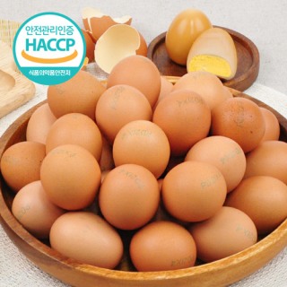 

[HACCP]무항생제인증 계란으로 구운 쫀득한계란60개_BASIC / 1

