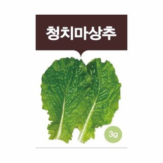 아이리스 씨앗 채소상록청치마상추