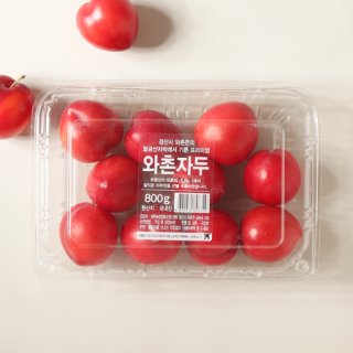 와촌자두 800G(팩) 유명산지